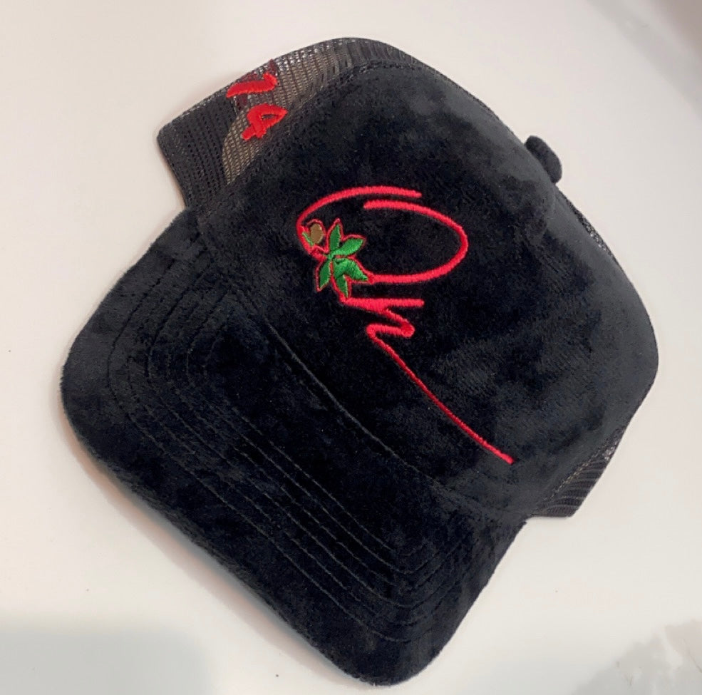 Ohio Trucker Hat Velvet