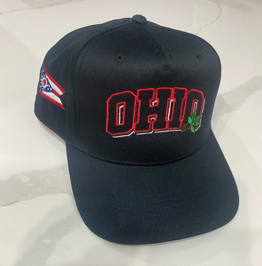 OHIO Snapback